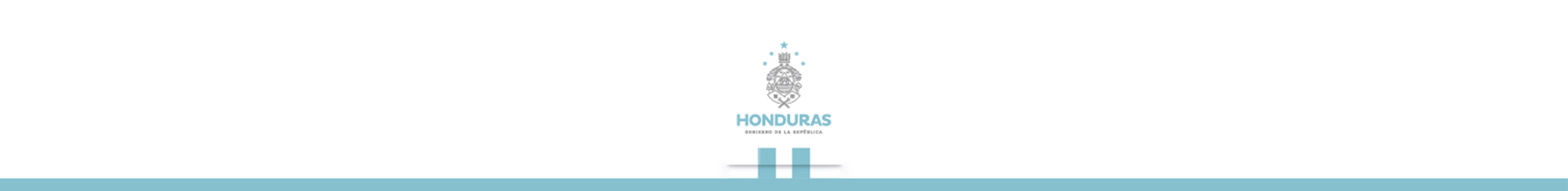 Banner Gobierno