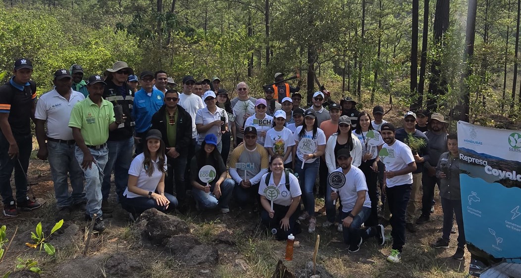 BCH suma 2,500 árboles plantados en distintas jornadas de reforestación